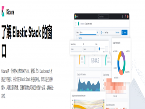 ElasticSearch和Kibana保姆级入门教程-2_kibana使用教程