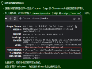 爬虫&逆向--Day11--DrissionPage详细教程
