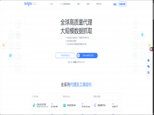 AI 驱动 + 亮数据赋能：揭秘亚马逊电商数据高效爬取的技术密码_亚马逊电商 爬取数据