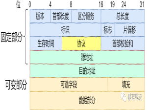 一些常见的网络攻击方式