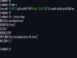 【信创-k8s】重磅-鲲鹏arm+麒麟V10离线部署k8s1.30+kubesphere4.1.3_kubesphere. 离线安装 麒麟v10
