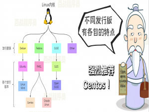 Linux（从入门到精通）