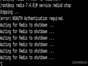 5.银河麒麟V10(ARM) 离线安装redis_麒麟v10离线安装redis