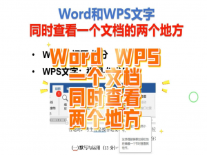 在Word和WPS文字中要同时查看和编辑一个文档的两个地方？拆分窗口