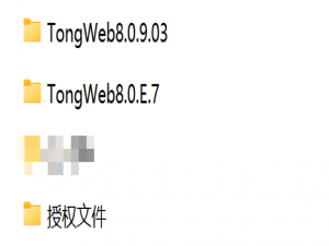 信创应用服务器TongWeb安装教程、前后端分离应用部署全流程