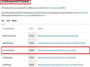 Linux 安装 JDK 和 OpenJDK 环境安装（21 版本）_openjdk21