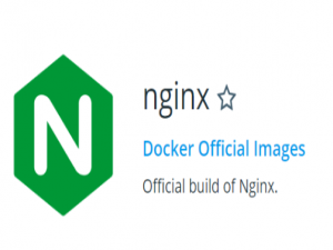 告别“物理出勤”：Nginx+cpolar让跨地域开发协作像局域网一样简单？_cpolar内网映射教程