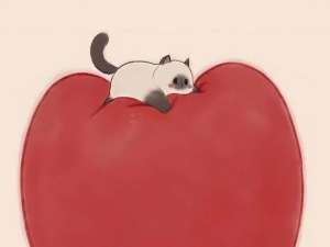 Python 3.14 新特性盘点，更新了些什么？