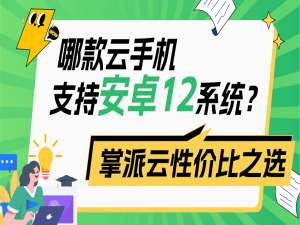哪款云手机支持安卓12系统？掌派云手机-性价比之选