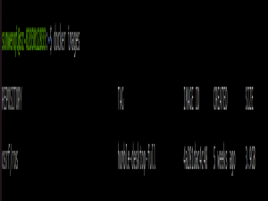 Docker的简单使用
