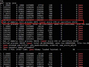 Java服务自动停止原因及查找方法_java 启动后 自动 停止