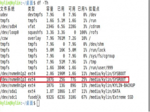 用银河麒麟 LiveCD 快速查看原系统 IP 和打印机配置_银河麒麟livecd运维工具