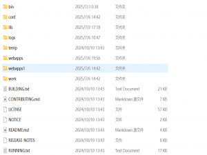 Tomcat项目部署（单体、聚合项目）