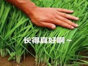 差价50%的智商税，电脑这硬件割了用户20多年韭菜_差价50%的智商税,电脑这硬件割了用户20多年韭菜