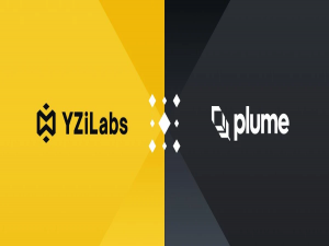 YZi Labs 谈对 Plume 的投资：利用区块链创造现实价值的典范项目_plume network估值