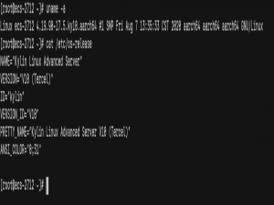 鲲鹏Arm+麒麟V10，国产化信创 K8s 离线部署保姆级教程_麒麟国产化部署