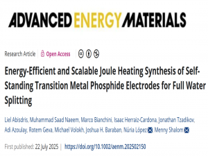 Adv. Energy Mater.：焦耳热2分钟制造自支撑磷化物全解水电极