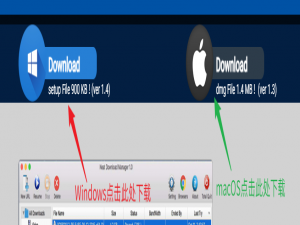 下载神器NDM（Neat Download Manager）安装配置教程（适用于Windows和macOS）