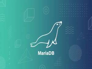 开源数据库新标杆！MariaDB 11.8 LTS全方位优化，直击生成式AI核心需求_mariadb vector