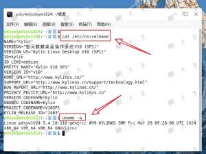一招解决麒麟系统网络叹号！详解 IPv4 地址完成连接的正确姿势_麒麟系统网络受限怎么解决