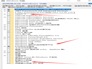 虚拟化安全无法关闭导致的ENSP之40报错 终极解决方法及排错思路！_ensp 联想的系统虚拟化怎么关闭