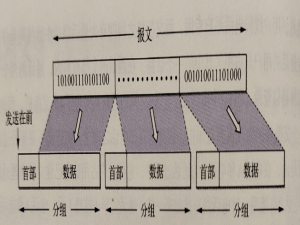 计算机网络：连接世界的数字脉络