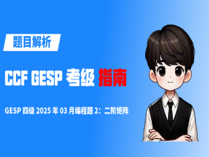 【GESP真题解析】第 19 集 GESP 四级 2025 年 3 月编程题 2：二阶矩阵_如何判断好子矩阵