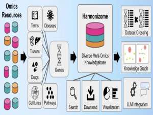 多组学数据库Harmonizome 3.0