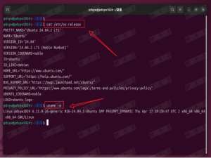 Ubuntu 24.04上安装并使用向日葵完整指南