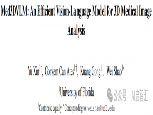 佛罗里达大学提出Med3DVLM：适用于三维医学图像分析的高效视觉-语言模型