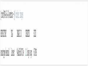 使用 Docker 安装 Maven 私服 Nexus3_docker安装nexus3