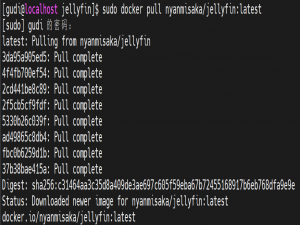 CentOS8 使用 Docker 搭建 Jellyfin 家庭影音服务器