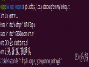 codeing或gitee提交代码问题集锦