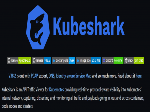 K8s:通过 Kubeshark 体验 大白鲨(Wireshark)/TCPDump 监控 Kubernetes 集群