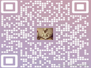 【异常解决】org.springframework.web.context.request.async.AsyncRequestNotUsableException: ServletOutputStr