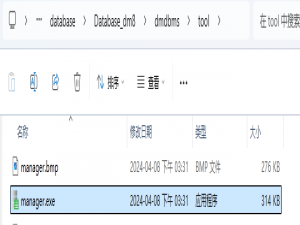达梦(DM8) 数据库操作手册_达梦数据库
