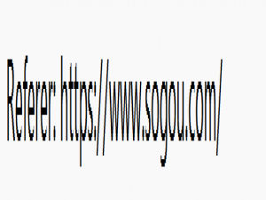 【HTTP】请求“报头”，Referer 和 Cookie_浏览器refer