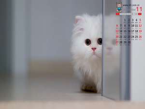 【DataSophon】Yarn配置历史服务器JobHistory和Spark集成historyServer_spark历史服务器