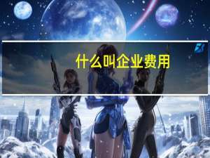 什么叫企业费用
