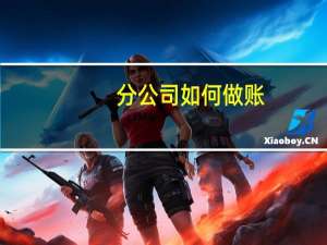 分公司如何做账