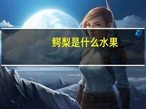 鳄梨是什么水果.html