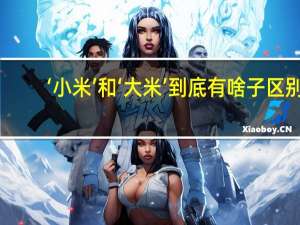 ‘小米’和‘大米’到底有啥子区别