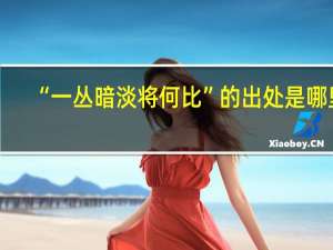 “一丛暗淡将何比”的出处是哪里