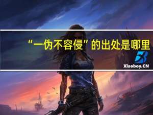 “一伪不容侵”的出处是哪里