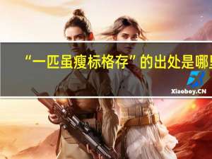 “一匹虽瘦标格存”的出处是哪里