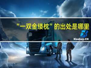“一双金缕枕”的出处是哪里
