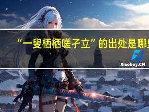 “一叟栖栖嗟孑立”的出处是哪里