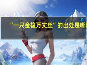 “一只金梭万丈丝”的出处是哪里