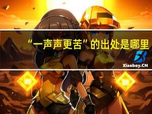 “一声声更苦”的出处是哪里