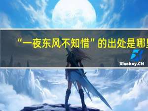 “一夜东风不知惜”的出处是哪里